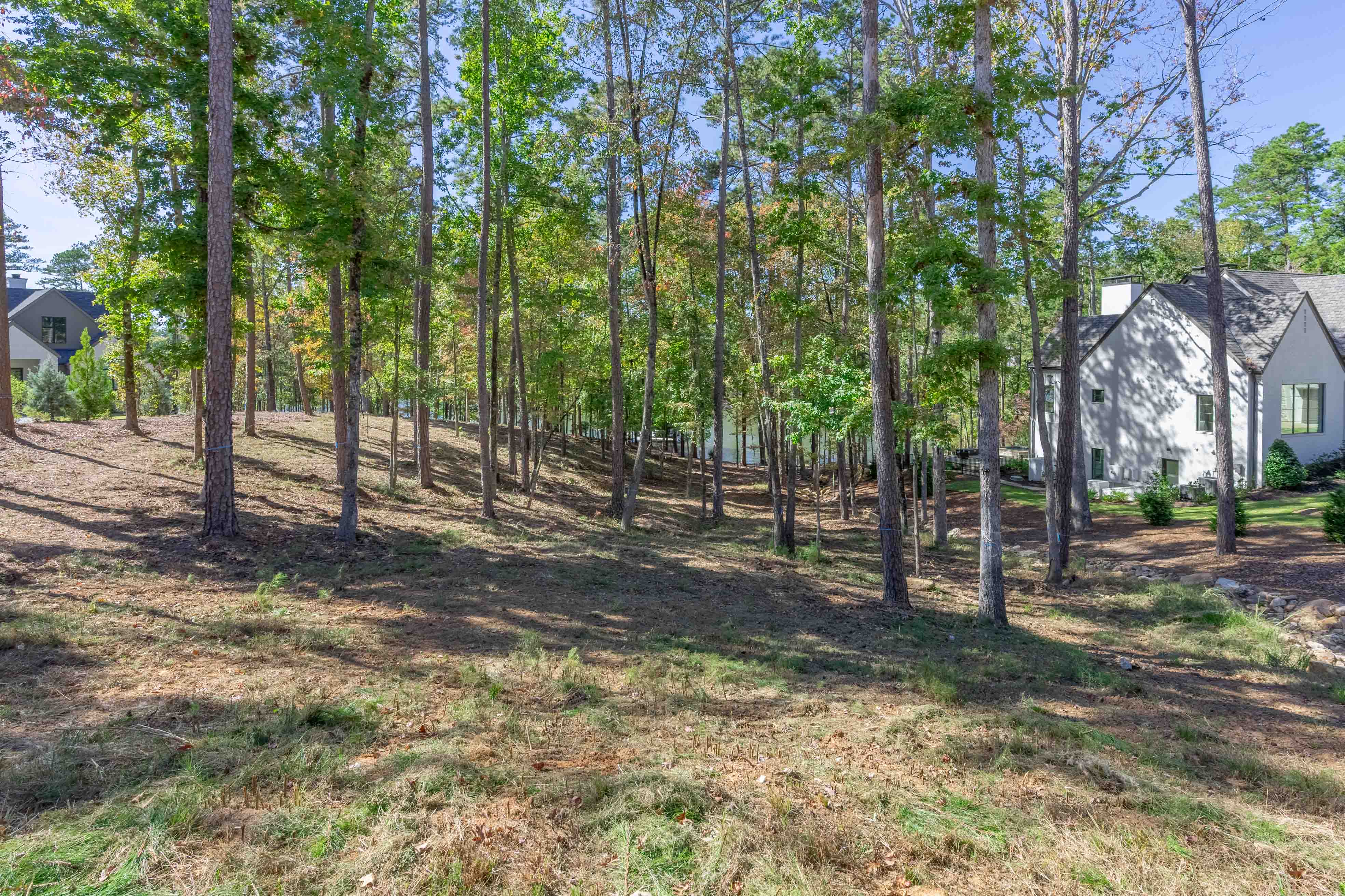 1545 Night Heron Drive image 3